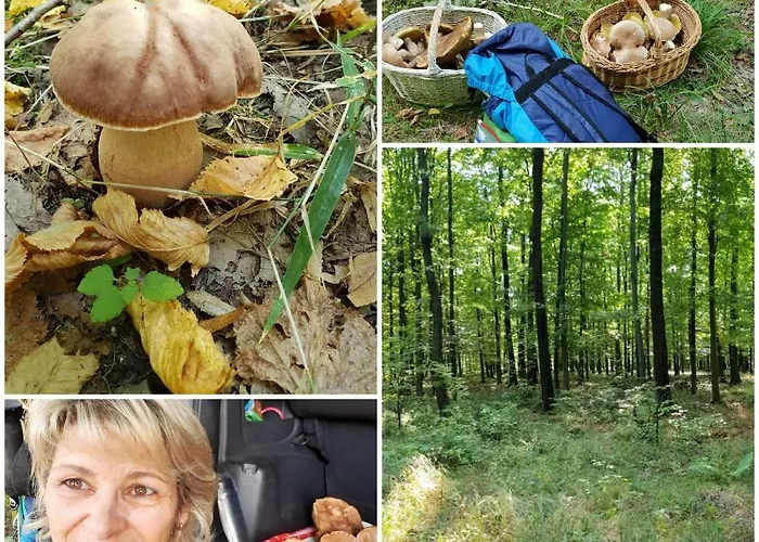 Casa vacanze Levendula Nyaralo *